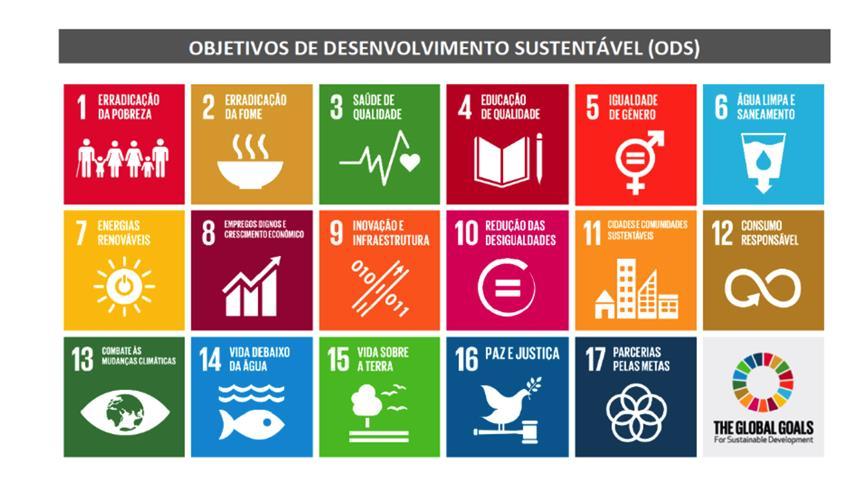 Estratégias e potencial de geração de receitas próprias pelo projeto, visando a diminuição da dependência de terceiros e uma futura autonomia financeira que favoreça a continuidade do impacto.