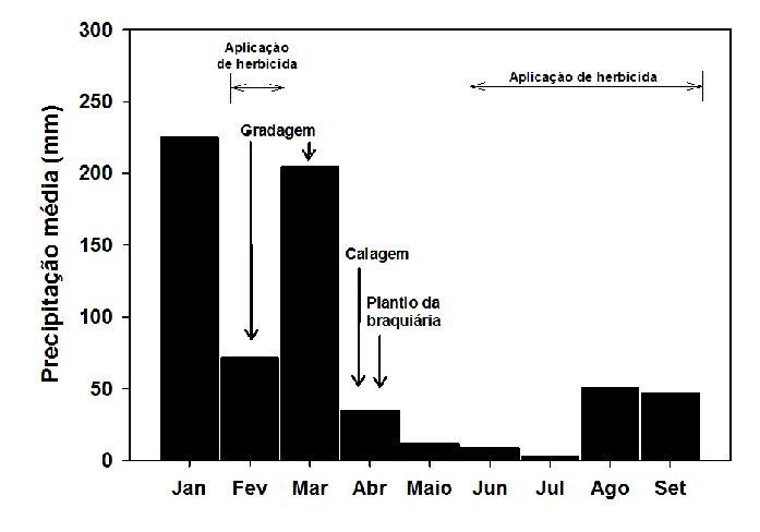 foram realizadas várias aplicações de herbicida para controle do mato (Tabela 1