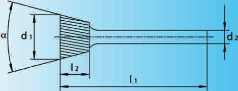 1 x 6 20 5 1 5 WKN 161 6S 16 x 1 x 6 20 5 1 52 Cilíndrica especial dentado FVK