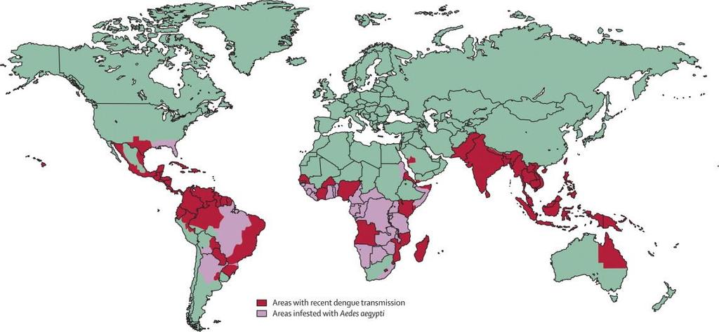 Mosquito Aedes aegypti -> Distribui-se nas zonas tropicais e subtropicais do globo e é um