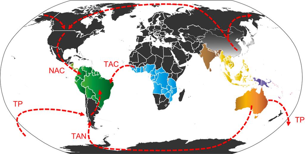 A Biogeografia estuda a distribuição de espécies sobre a superfície da Terra num contexto espacial e temporal Está relacionada com a análise e