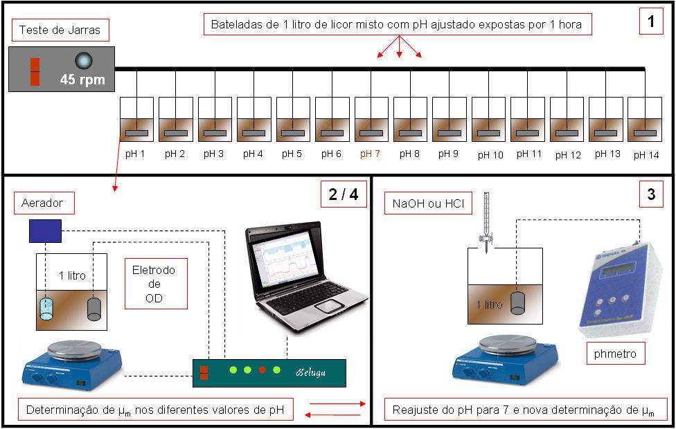 Figura (3.12): Esquema geral dos procedimentos do teste de influência do ph no metabolismo autotrófico nitrificante. A TCO foi determinada conforme apresentado neste Capítulo, seção 3.3.3. A modificação aplicada neste caso foi o ajuste do ph.