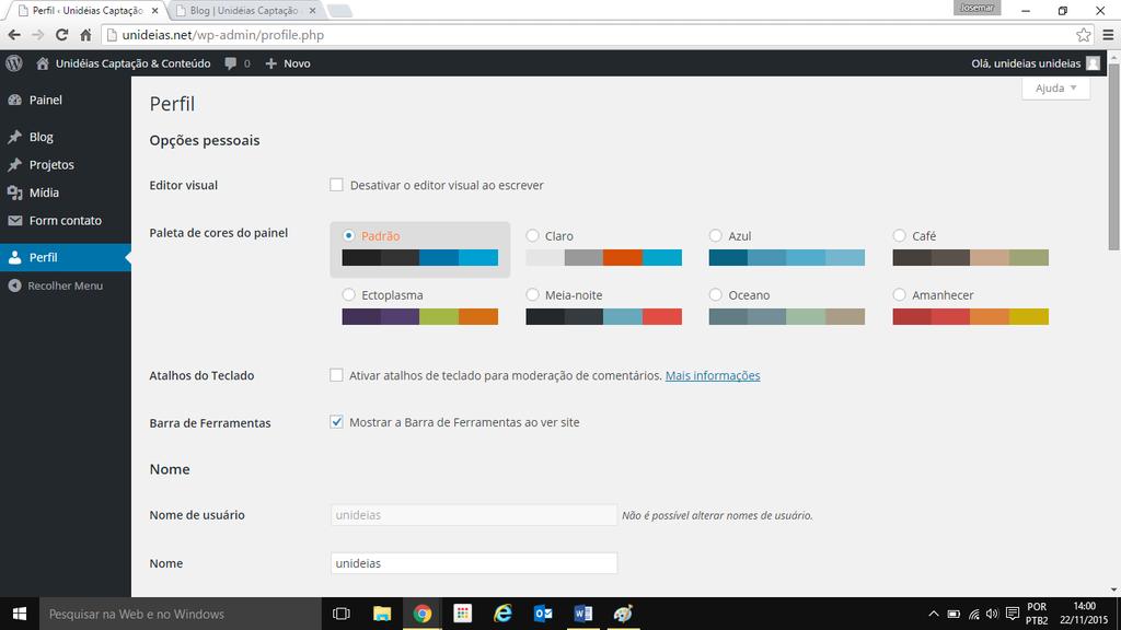 Perfil Em Perfil você conseguirá visualizar as paletas de cores como opção para