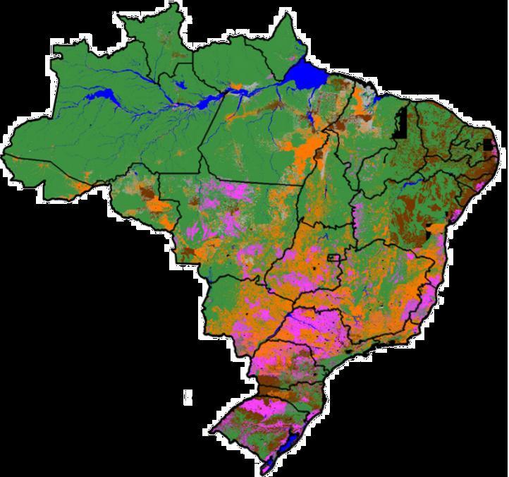 Nova expansão é esperada sobre áreas de pastagem maior uso de sistemas de intensificação na pecuária % de cada