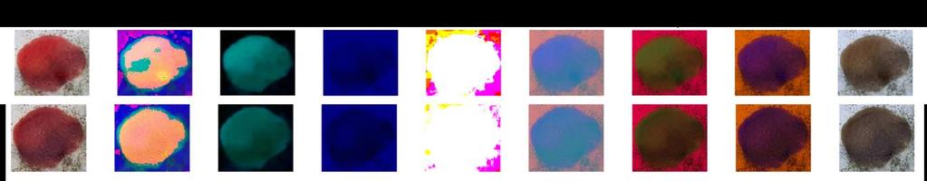 imagens, a matriz X foi construída usando os valores médios de luminosidade adotando o mesma