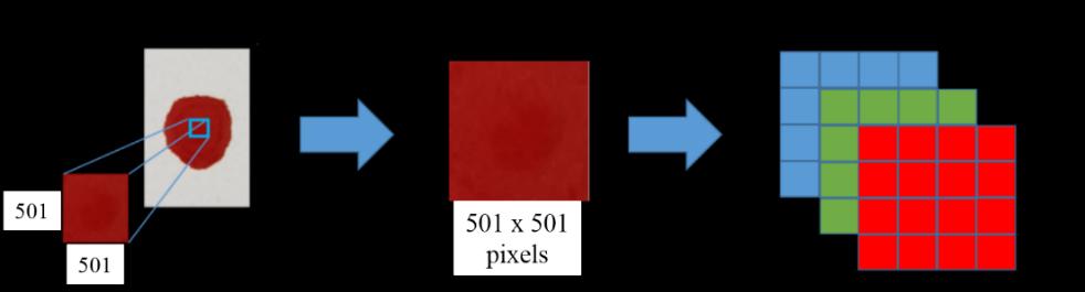 79 3.3.3 Tratamento dos dados As rotinas utilizadas durante a etapa de tratamento dos dados foram obtidas no website da MathWorks - Makers of MATLAB and Simulink disponível no endereço eletrônico