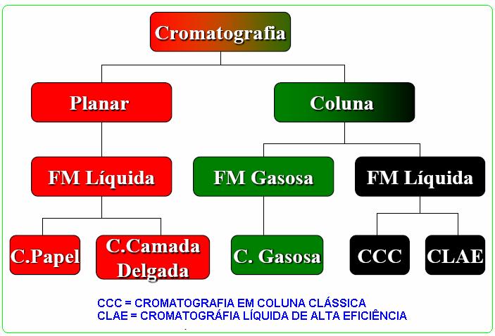 CLC - COLUNA PRINCIPAIS