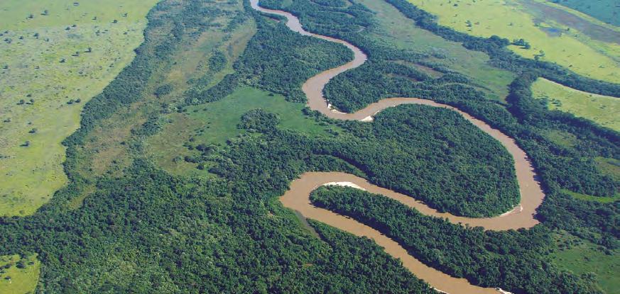 Meta é colher cerca de 50 mil caixas até o final do ano Parque Estadual Aguapeí, também chamado de O PEA, é uma Unidade de Conservação de Proteção Integral Estadual.