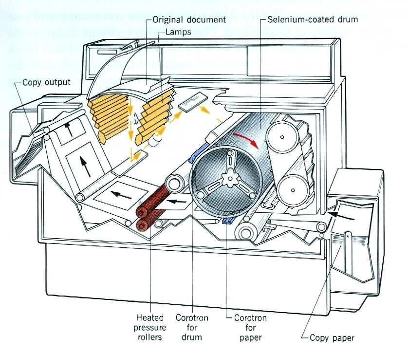 2 Campo elétrico Linhas de campo elétrico Lei de Gauss Xerography Cutnell & Johnson.