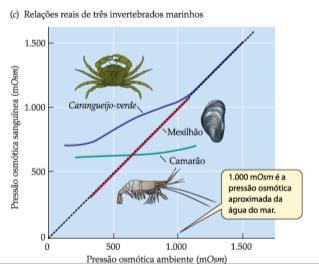 Animais estenohalinos: toleram pouca variação da osmolaridade ambiental. Animais eurihalinos: toleram uma faixa considerável de osmolaridades ambientais.