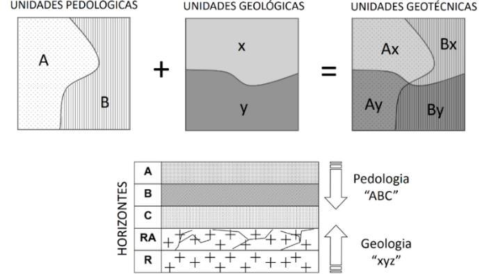 50 da rocha (horizonte saprolítico) e a pedologia permite inferir características dos horizontes superficiais dos seus perfis típicos.