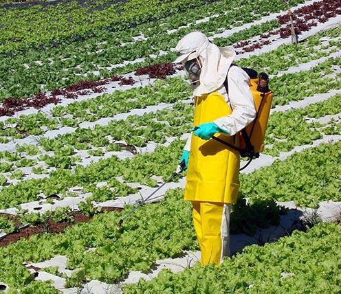 diretamente empregados na fase de produção.