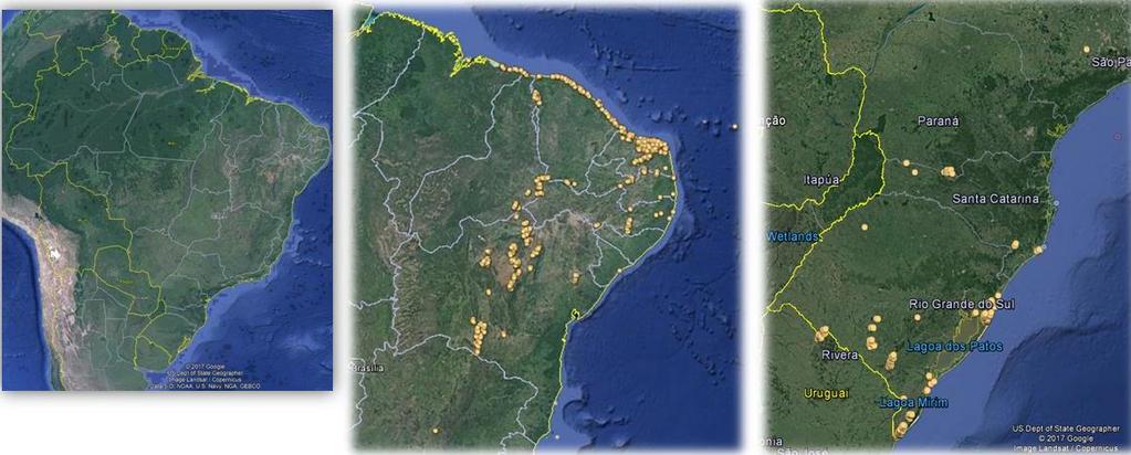 Localização e capacidade instalada de EOL - Brasil Nordeste Sul NE 83% MA 193 MW PI 5 o 1435 MW CE 4 o 1739 MW RN 1 o 3465