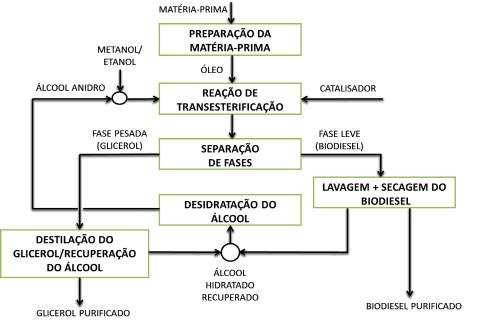 Figura 2. Equação química simplificada da obtenção do biodiesel.