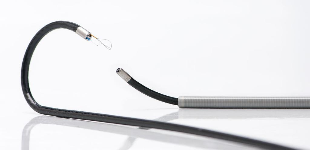 laser  Canal de laser para fibras de até 365 µm  Com a ENDOCAM Flex HD, dois endoscópios flexíveis exclusivos estão