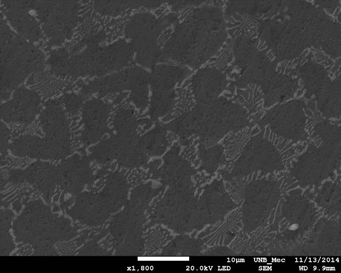 A dendrita apresenta tamanho muito superior comparada com as dendritas encontradas nas amostras da liga Al-4%Ni (Fig. 4,7 e 4.8).