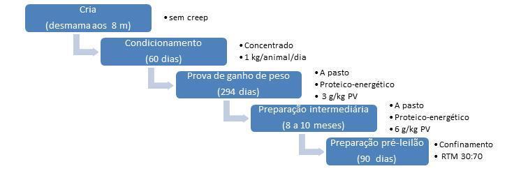 Exemplo: Plano