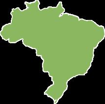 Síndrome de Dependência do Álcool Prevalência no Brasil -12,3% população adulta -7,0% dos