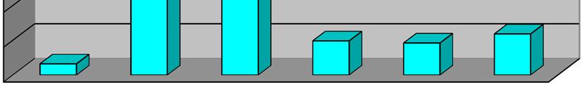 28- QUAL A SUA OPINIÃO SOBRE A CARGA EMBARCADA?