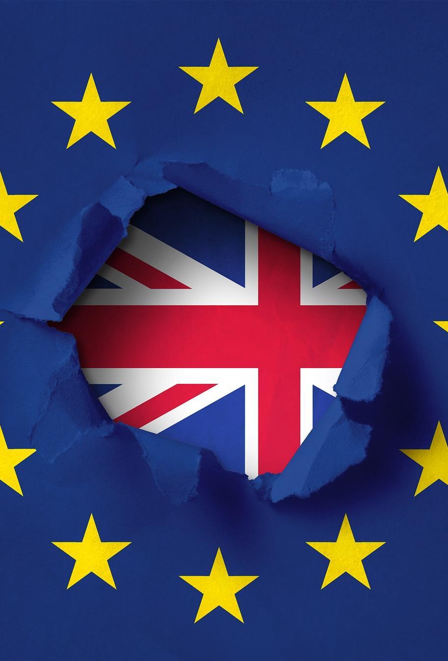 O ESTATUTO DOS CIDADÃOS DA UNIÃO EUROPEIA NO REINO UNIDO Até 29 de Março de 2019, os cidadãos da União Europeia e os cidadãos do Reino Unido mantêm direitos