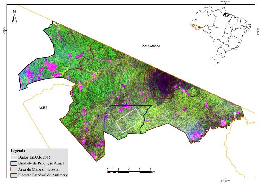 Amazônia. O único estudo em grande escala da extensão da exploração de madeira na Amazônia brasileira estima uma área de 19.823 km 2 ano -1 e 12.