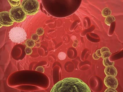 as interleucinas, IL-1, IL-6, fator de necrose tumoral e prostaglandina E2.