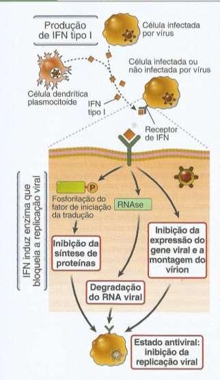 resistência antiviral: inibição da síntese