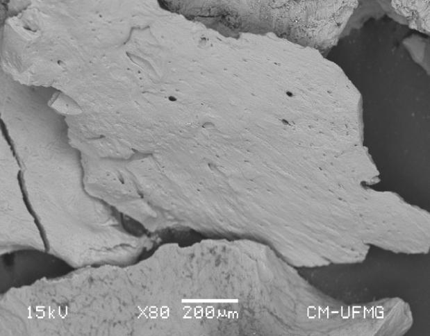 A idntificação das spécis químicas na suprfíci do carvão ants do carrgamnto (Figura 3a 3b) vidncia a prsnça significativa d cálcio fósforo, conform sprado.