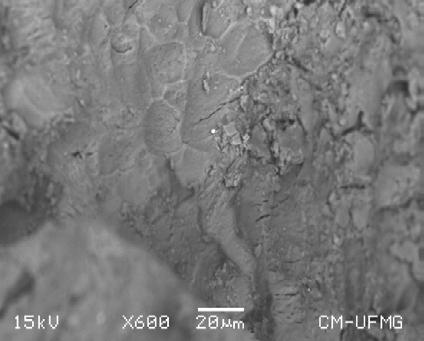 (a) (b) (c) (d) Figura 3: Carvão d osso ants (a b) após contato com licor d DAM (c d): Microscopia ltrônica d varrdura (a c); composição por EDS (b d). 3.2.