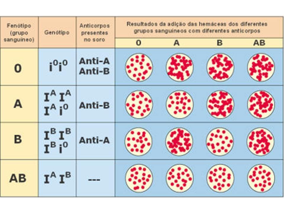 Um dos casos abordados em vestibular é o referente a pelagem dos coelhos, onde o gene C do coelho cinza domina sobre os demais, enquanto que o chinchila (c ch ) domina sobre himalaio (c h ) e albino