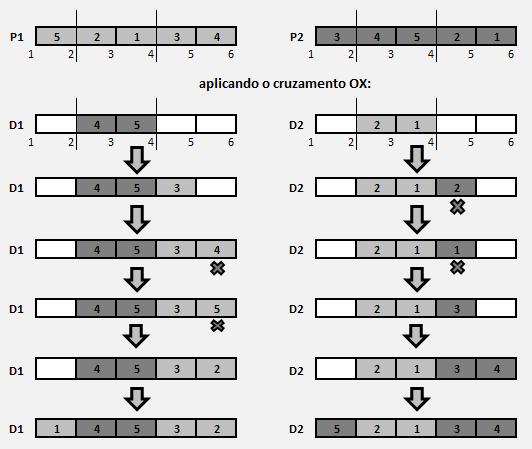 23 por elementos do progenitor P 2 pela ordem que aparecem no progenitor P 1.