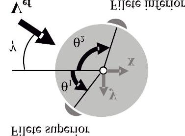A variação da posição dos filetes aparece como uma variação contínua da forma da seção transversal do cabo, a qual provoca, por sua vez, a variação dos coeficientes de força nas direções paralela e