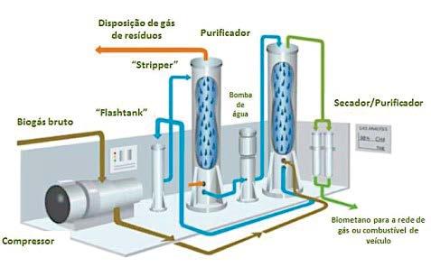 146 Tecnologias de Produção e Uso de Biogás e Biometano Figura 10.