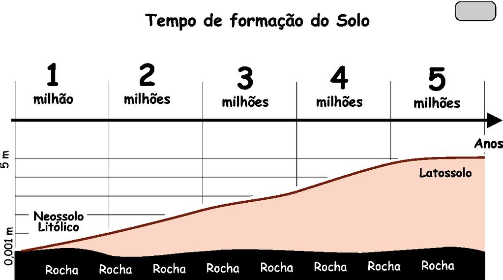 2. Formação do solo Tempo de