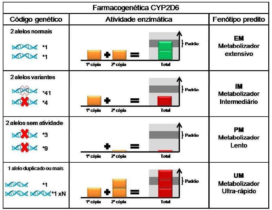 Enzima CYP2D6 e Metabolismo da Debrisoquina Maior toxicidade reações