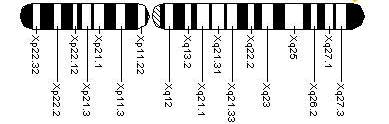 Deficiência de G6PD A deficiência em Glucose-6-fosfato desidrogenase (G6PD) é uma doença hereditária recessiva ligada ao cromossomo X.