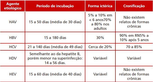Características das Hepatites
