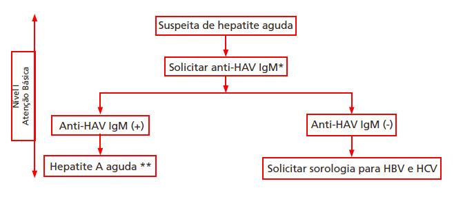 Fluxograma diagnóstico da hepatite