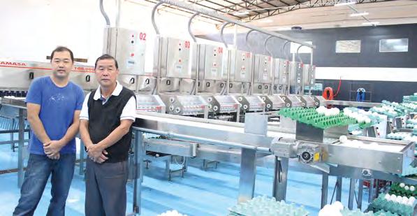 4 TRADICIONAIS GRANJAS DE BASTOS investem em máquinas Yamasa Granja Miyakubo e Granja Amano ampliam produção e investem na qualidade para seus clientes.