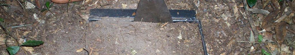 Figura 3 - Coleta do banco de sementes do solo em remanescente de Floresta Estacional Decidual, CISM, Santa Maria, RS.