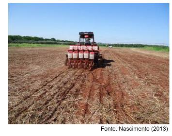 6.2 - SEMEADURA 6.2.1 Época de semeadura Existe regionalização para épocas de semeadura de trigo e triticale para os vários Estados produtores.