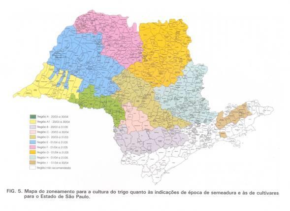 Zona A 20/03 a 30/04 sendo tolerado até 10/05 Zona A1 20/03 a 30/04 Zona B 20/03 a 31/05 Zona C 20/03 a 30/04 sendo tolerado até 15/05 cultura irrigada até 30/05; Zona D sequeiro: 20 a 31/03 tolerado