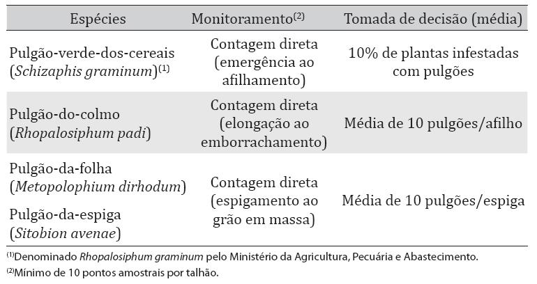 Pulgões e percevejo barriga verde Monitoramento e critérios para tomada de decisão no