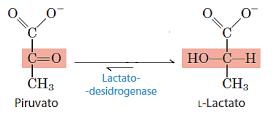 b) Geralmente apresenta um nível plasmático de insulina menor que um indivíduo normal.