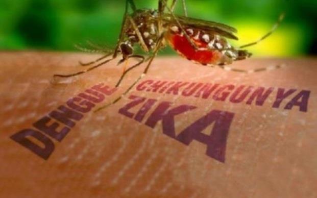 BRASIL Especialistas alertam para epidemias de zika e chikungunya no próximo verão A poucos meses do início do verão,