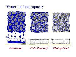 Características físicas do solo Capacidade de armazenamento de água Textura Profundidade Teor