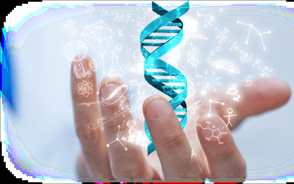 Tipagem Molecular Métodos de tipagem molecular Baseados em características estruturais (genéticas) Detecção de microrganismos epidemiologicamente relacionados, por meio da análise de suas