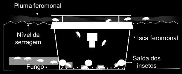 como estratégia atrai-infecta. ROHDE et al.