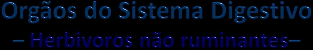 Boca, esôfago, estômago, fígado, pâncreas,