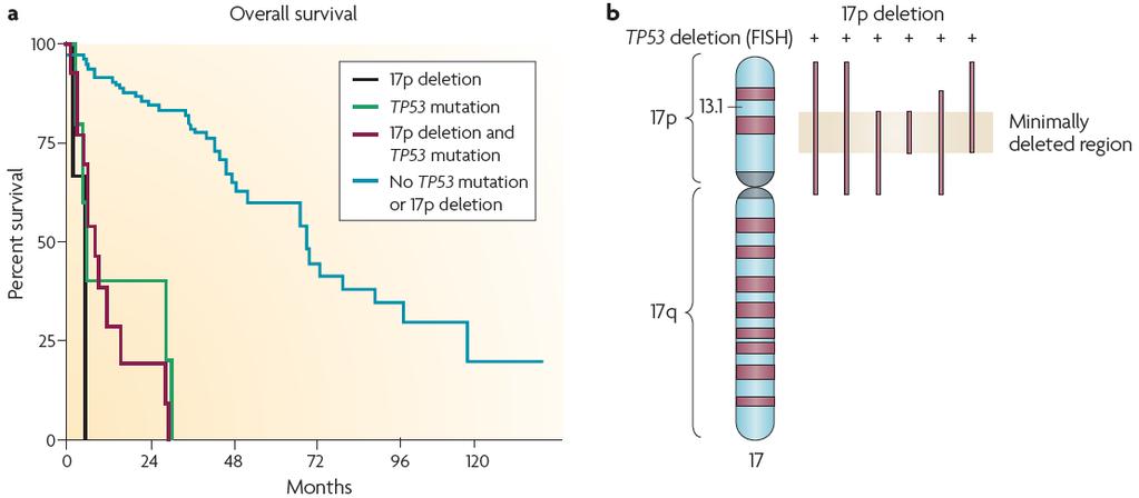 Evolução Clonal Recaída / refratariedade após quimioimunoterapia Frequentemente associada a del17p Mutação do TP53 remanescente 1,2 del17p - 4-10% (primeira linha) para 25-50% (recaídas)